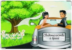 Обложка для свидетельства на машине Автор: Ekaterina14
