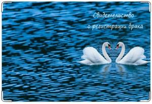 Обложка для свидетельства лебеди Автор: Ekaterina14