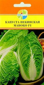 КАПУСТА