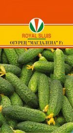 ОГУРЕЦ &quot;МАГДАЛЕНА&quot; F1