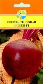 СВЕКЛА