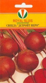 СВЕКЛА
