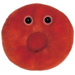 Красная кровяная клетка