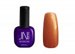 Гель-лак JN Deluxe 15 мл. № L118