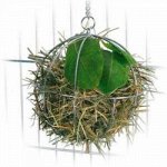 Кормушка д/грызунов (для сена) &quot;Шар&quot;, 6104