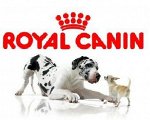 Royal Canin-корма для питомцев 152