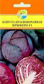 капуста