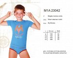 M1A 23042 Iperico