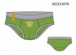 M1I33070