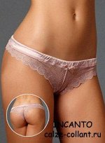 ICD37180 Capriccio