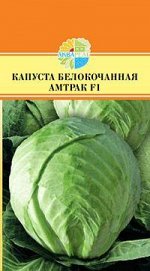 КАПУСТА