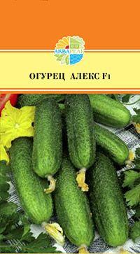 Огурец 10шт в упаковке 
Раннеспелый гибрид, 50 дней.В одном узле формируется 1-3 мелкобугорчатых корнишона. Плоды длиной 7-9 см темно-зеленые.
Высокоурожайный, партенокарпический, раннеспелый гибрид, 