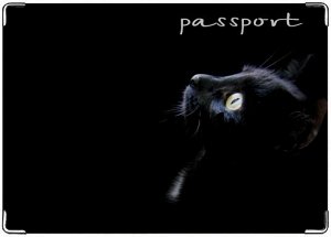 Чёрный кот.\r\nОбложка на паспорт Lengik