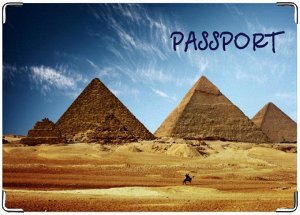 египет\r\nОбложка на паспорт Olenonok
