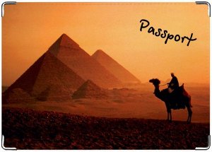 египетский вечер\r\nОбложка на паспорт\r\nmamaDemida