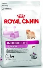 Lifestyle Indoor Dry Dog