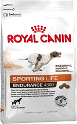 Lifestyle Sporting Dry Dog