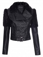 WPU5FW13
