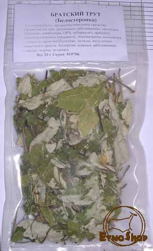 братский трут трава показания. соссюрея иволистная. трава трут. соссюрея горькуша седая. соссюрея трава.