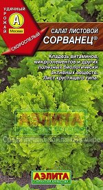 Зелень Салат Сорванец листовой /Аэлита/цп