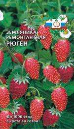 Земляника Рюген ( мелкоплодная ремонтант.). Евро, 0,04