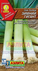 Лук Порей Зимний гигант/Аэлита/цп
