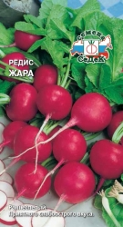 редис Жара. Евро, 3