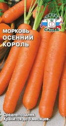 морковь Осенний Король. Евро, 2
