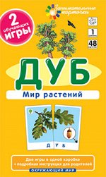 ОМ1. Дуб. Мир растений