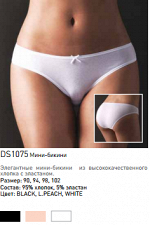 DS1075