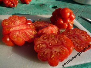 Помидоры Reisetomate