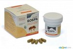 «Секрет бобра»® с продукцией пчеловодства в капсулах