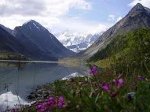 Ваше долголетие. Алтайская благодать +7