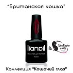 Гель лак для ногтей эффект кошачий глаз Британская кошка (CE