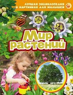 Мир растений