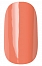 Гель-лак Laque (натуральный, цвет: Апельсиновый ликер, Orange Liqueur), 12 мл