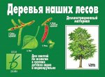 «Деревья наших лесов»