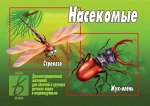 д-293