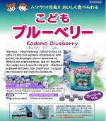 Черника для детей 90шт (30-18 дней) с 5 лет