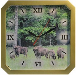 Часы настенные TROYKA, размер 29*29 см, производство Белоруссия