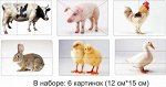 РАЗРЕЗНЫЕ КАРТИНКИ &quot;ДОМАШНИЕ ЖИВОТНЫЕ&quot;