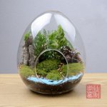 аквариум для цветов