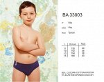 BA33003