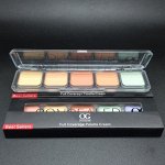 №1 OG-FB6126B Консилер для лица на палетке (5 тонов)
