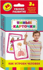 Как устроен человек