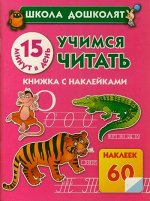 55610481