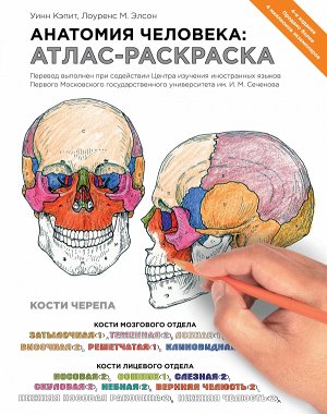Анатомия человека: атлас-раскраска