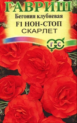 Бегония клубневая f1 нон стоп