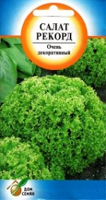 Салат Рекорд