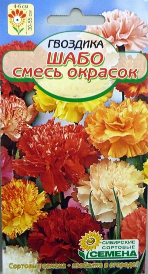 Как выглядят семена гвоздики шабо